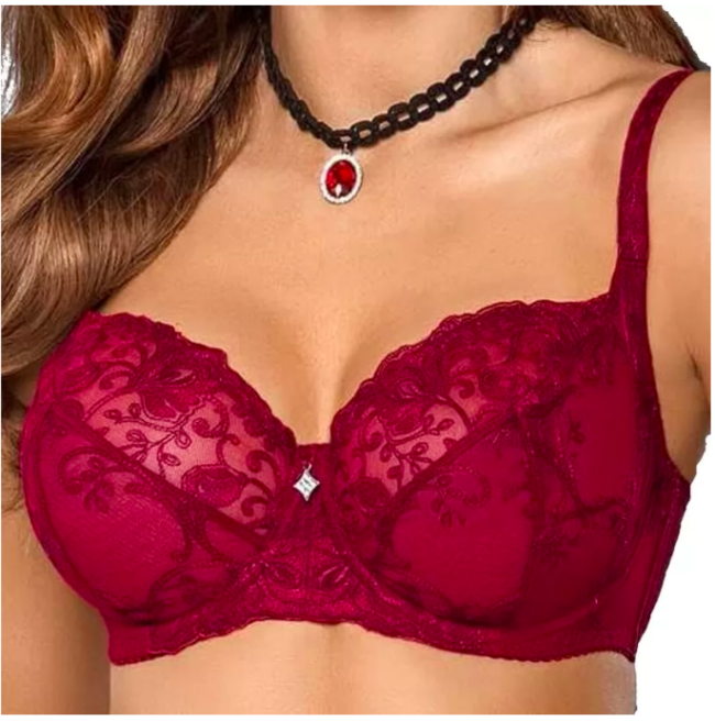 loveofbody - red sheer lace bra